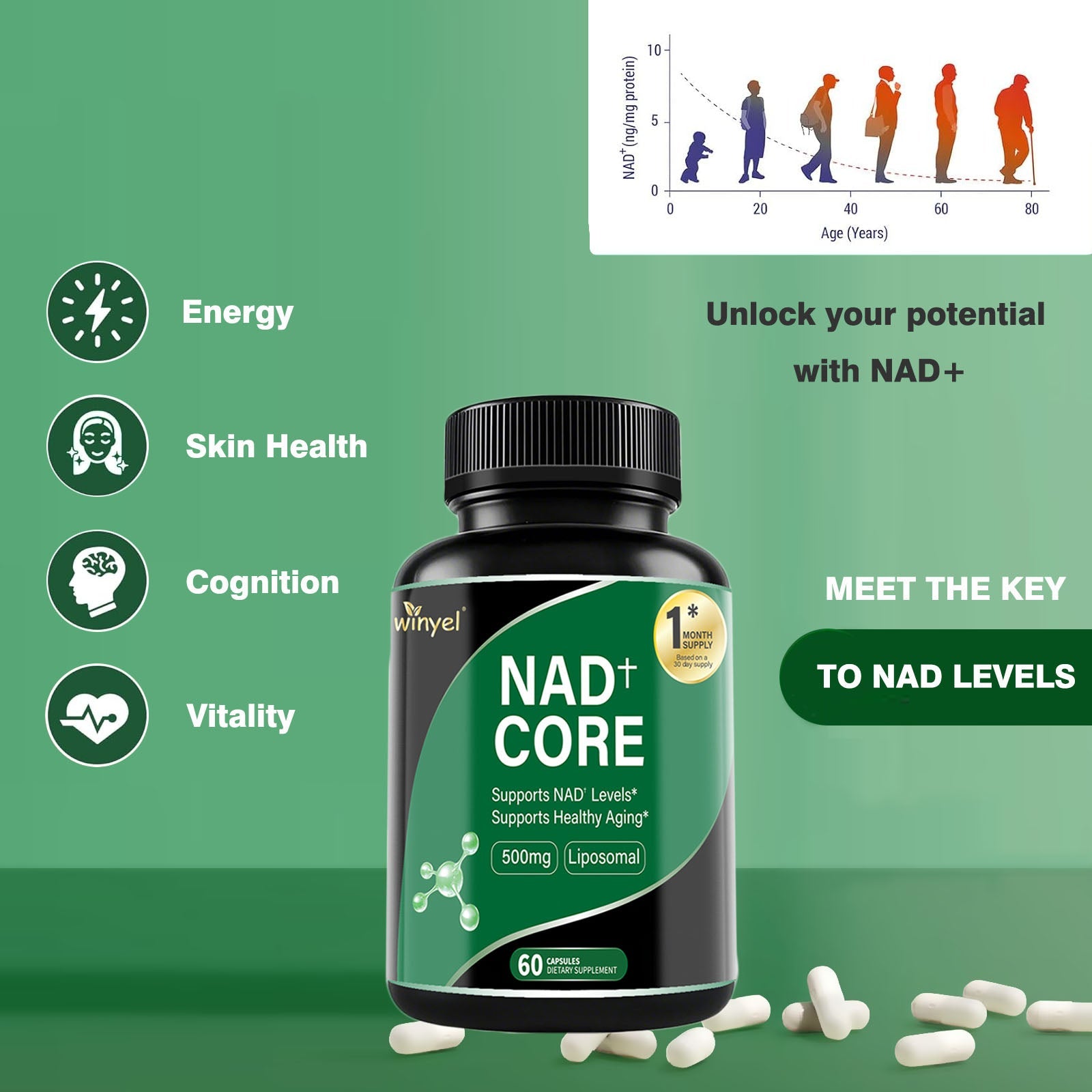 60 Capsules Of High - concentration Liposomal NAD Enhancer - Energy, Focus, And Healthy Aging, Containing Nicotinamide Riboside, Resveratrol, And Rutin - High - quality, High - purity Formula - VIRALCORE HEALTH