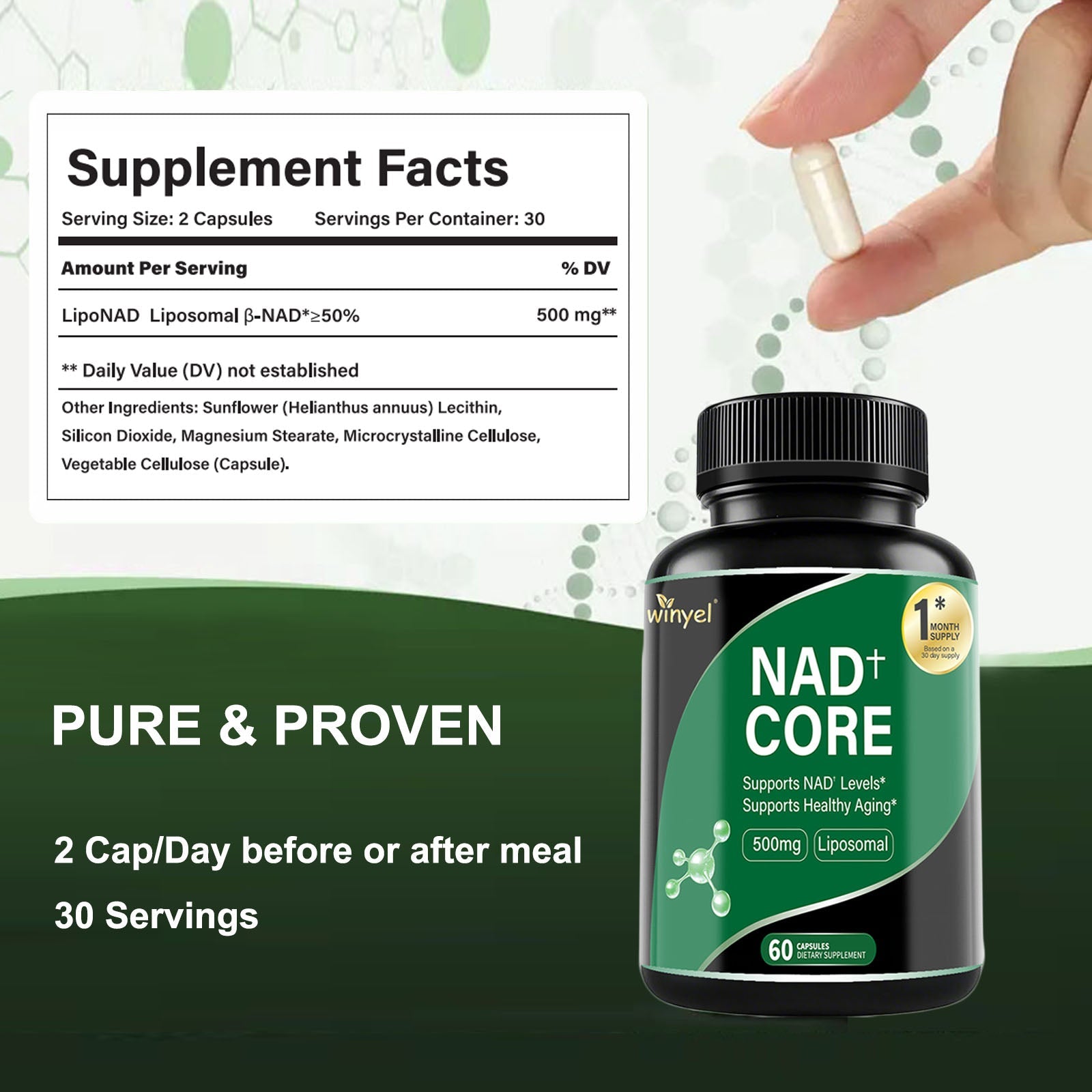 60 Capsules Of High - concentration Liposomal NAD Enhancer - Energy, Focus, And Healthy Aging, Containing Nicotinamide Riboside, Resveratrol, And Rutin - High - quality, High - purity Formula - VIRALCORE HEALTH
