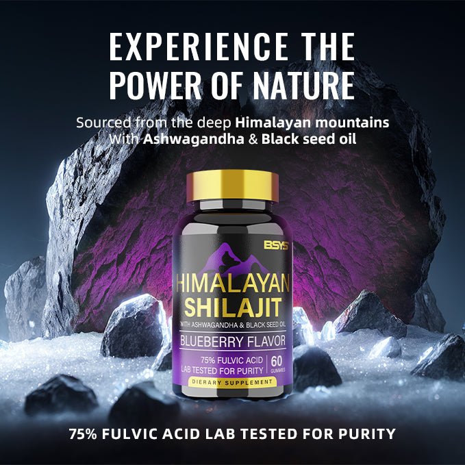 BSYS SHILAJIT GUMMIES 60'S - VIRALCORE HEALTH