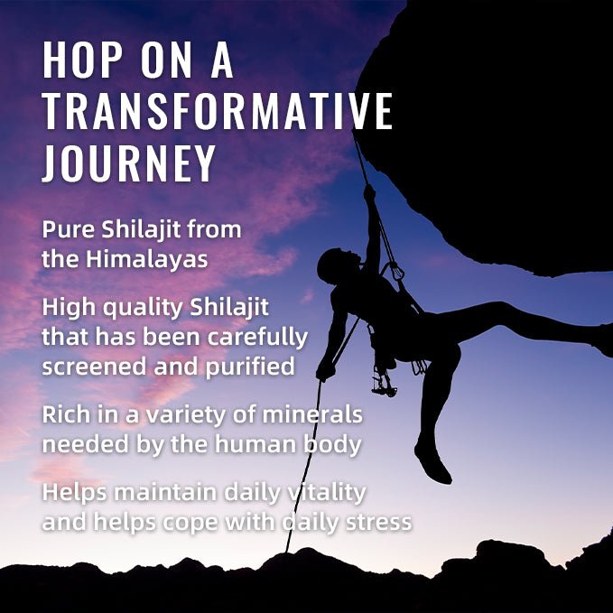 BSYS SHILAJIT GUMMIES 60'S - VIRALCORE HEALTH