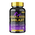 BSYS SHILAJIT GUMMIES 60'S - VIRALCORE HEALTH