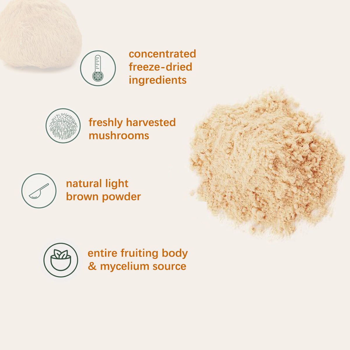 Food Health Organic Lion Bristle Mushroom Powder - VIRALCORE HEALTH