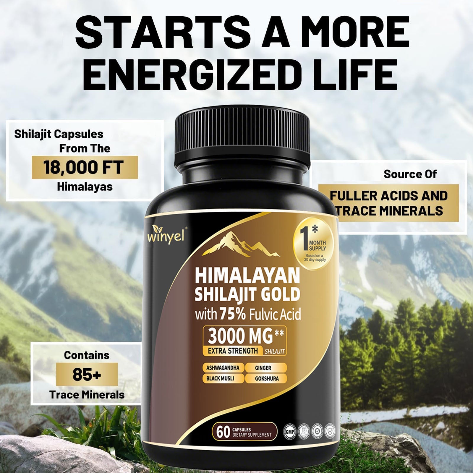 Shilajit Capsules, Ashwagandha, Gokshura, 85 Trace Minerals, High Potency Gold Grade Himalayan Shilajit Supplements, 60 Capsules For Women And Men - VIRALCORE HEALTH